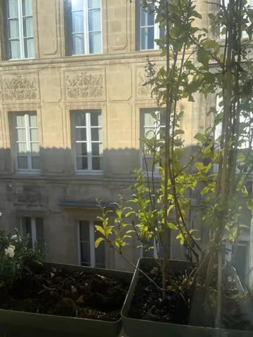 Bordeaux Quinconces appartement duplex