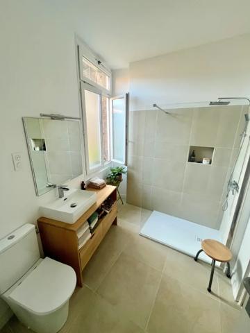 Bordeaux Quinconces appartement duplex