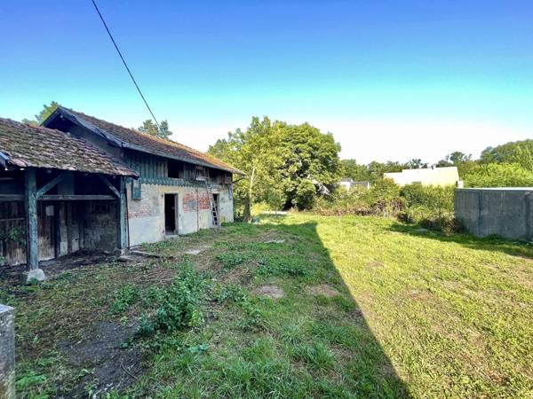 Maison / immeuble de caractère à fort potentiel et très vaste terrain
