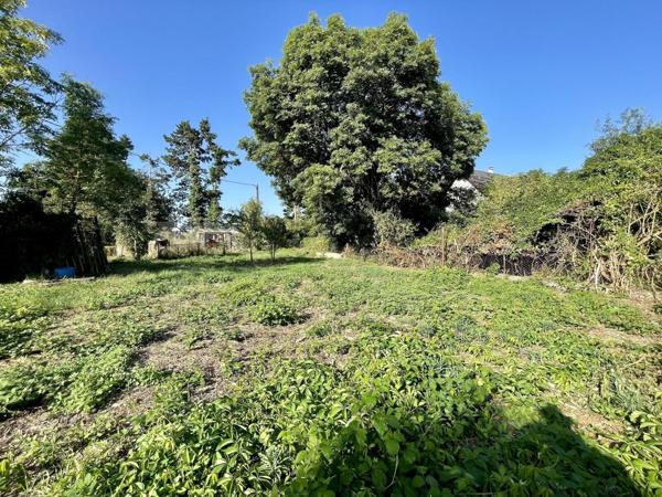 Maison / immeuble de caractère à fort potentiel et très vaste terrain