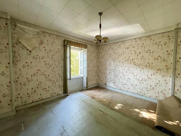 Maison / immeuble de caractère à fort potentiel et très vaste terrain