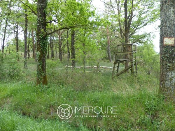 Domaine de chasse à Montmorillon