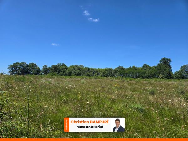 90 HECTARES DE TERRE AGRICOLE