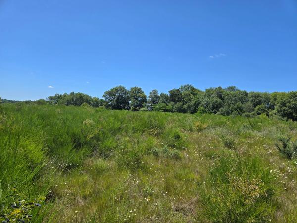 90 HECTARES DE TERRE AGRICOLE