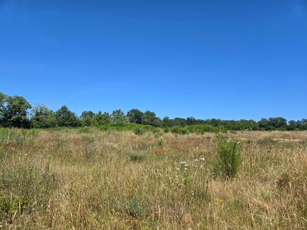 90 HECTARES DE TERRE AGRICOLE