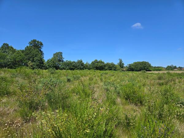 90 HECTARES DE TERRE AGRICOLE
