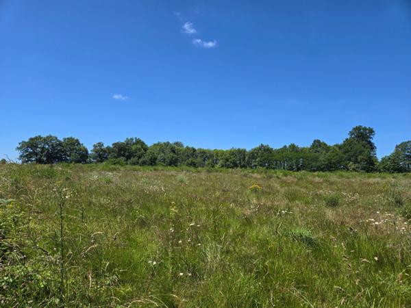 90 HECTARES DE TERRE AGRICOLE