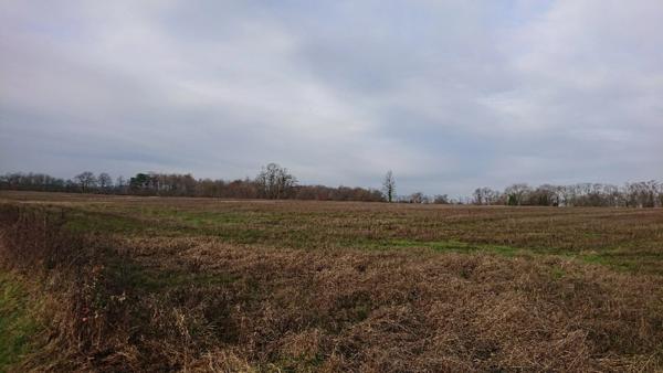 90 HECTARES DE TERRE AGRICOLE