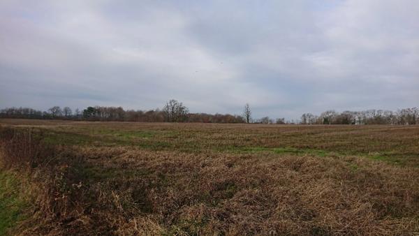 90 HECTARES DE TERRE AGRICOLE