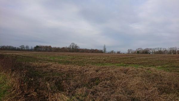 90 HECTARES DE TERRE AGRICOLE