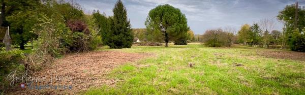 Terrain constructible à vendre Clion sur Indre (36)