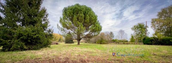 Terrain constructible à vendre Clion sur Indre (36)