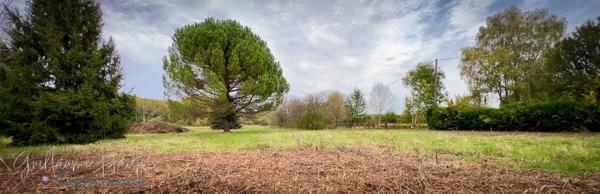 Terrain constructible à vendre Clion sur Indre (36)