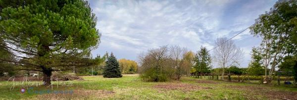 Terrain constructible à vendre Clion sur Indre (36)