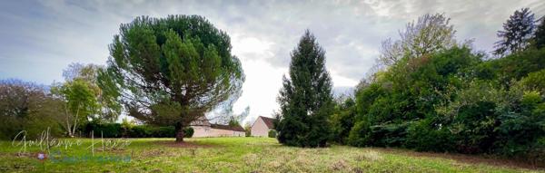 Terrain constructible à vendre Clion sur Indre (36)