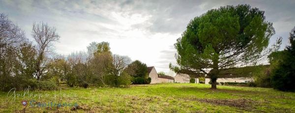 Terrain constructible à vendre Clion sur Indre (36)