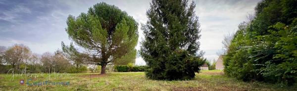 Terrain constructible à vendre Clion sur Indre (36)