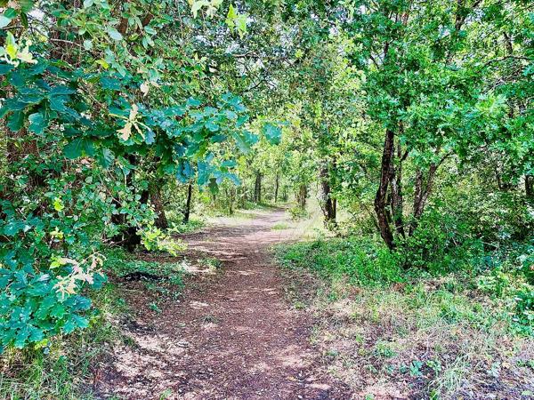 Maison  en vente - Charente-Maritime - 17