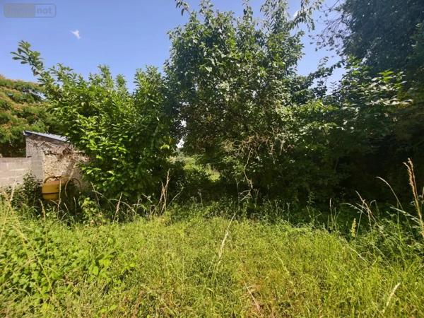 Achat - Maison Saint-Christophe-sur-le-Nais 37370 5 pièces 172 m 2 800 m 2