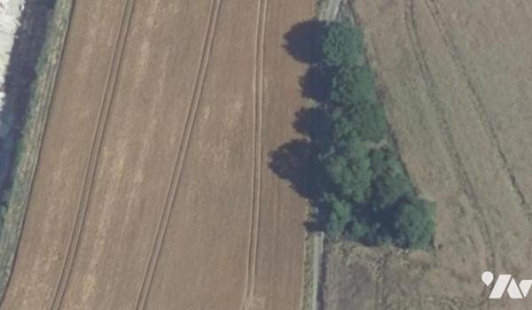 Une parcelle de bois et taillis