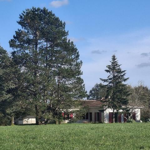 MAISON PLAIN PIED AVEC PISCINE, PARC ET VUE SUR LA CAMPAGNE