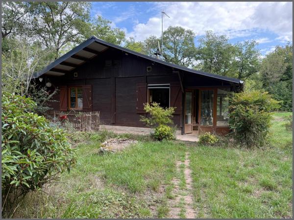 Maison plain-pied, 3 chambres, grand terrain, dependances