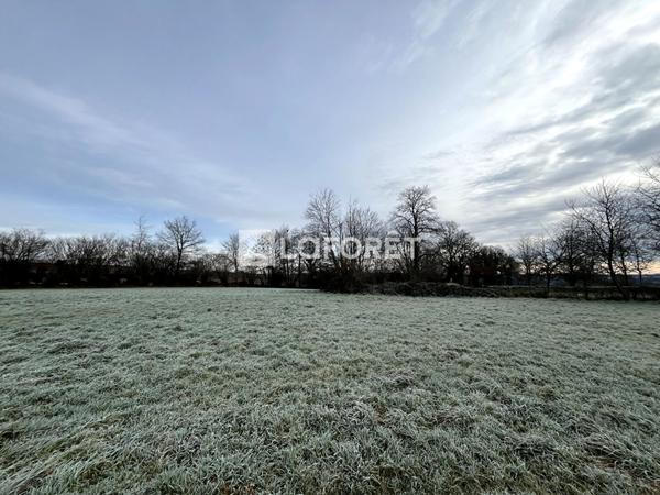 Achat terrain Saint-Bômer-les-Forges - 5190 m² - 29 000 €