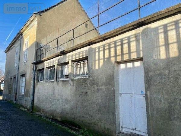Local mixte (Pro/Hab) à vendre à Ballon-Saint-Mars dans la Sarthe (72290), ref : 13827/650