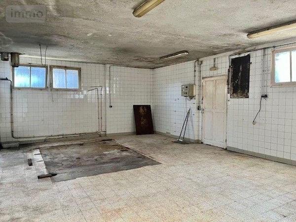 Local mixte (Pro/Hab) à vendre à Ballon-Saint-Mars dans la Sarthe (72290), ref : 13827/650