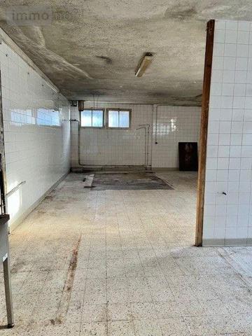 Local mixte (Pro/Hab) à vendre à Ballon-Saint-Mars dans la Sarthe (72290), ref : 13827/650