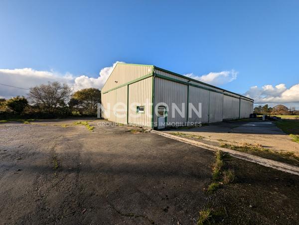 Ensemble immobilier à vendre à Plumelin - 12 hectares de terre