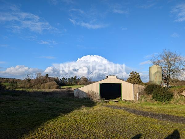 Ensemble immobilier à vendre à Plumelin - 12 hectares de terre
