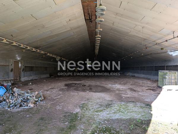 Ensemble immobilier à vendre à Plumelin - 12 hectares de terre