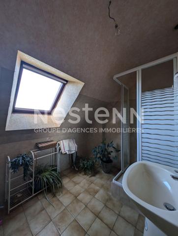 Ensemble immobilier à vendre à Plumelin - 12 hectares de terre