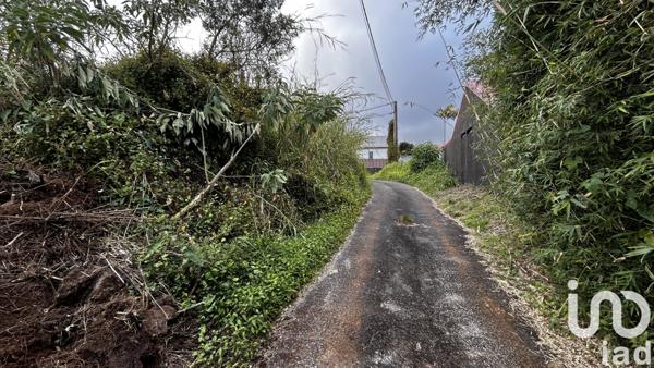 Terrain à vendre 7 682 m² La Plaine-des-Palmistes