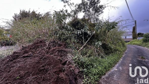 Terrain à vendre 7 682 m² La Plaine-des-Palmistes