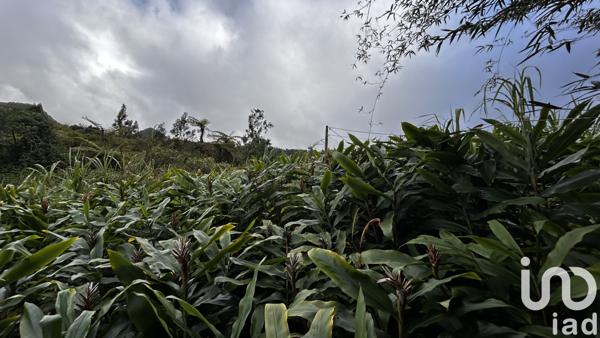 Terrain à vendre 7 682 m² La Plaine-des-Palmistes