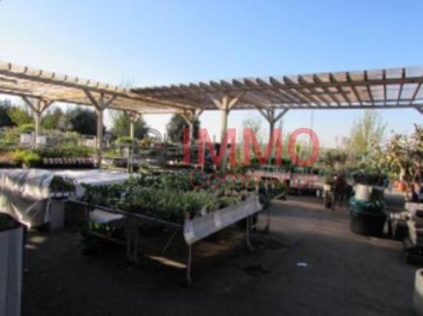 Vente murs / Local Commercial