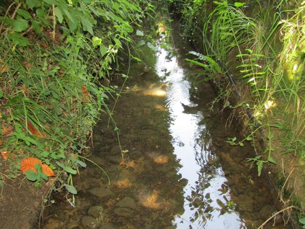 Maison 120m² avec terrain 1400m² à Sarlat