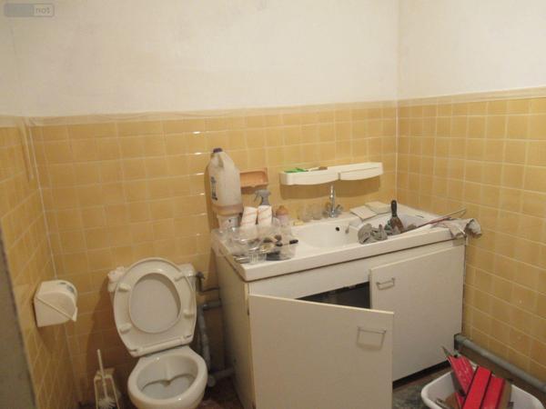 Maison à vendre à Sainte-Savine dans l'Aube (10300), ref : 10377/910