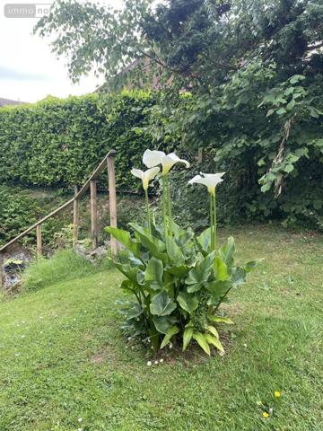 Maison à vendre à Mont-Saint-Aignan en Seine-Maritime (76130), ref : 76009-416