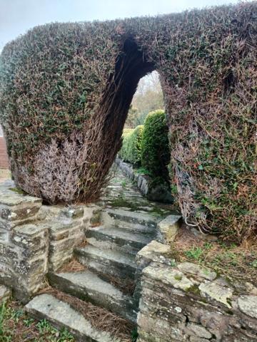Jolie maison située dans un havre de paix accompagnée d'un joli terrain et le tout orienté face à la mer.