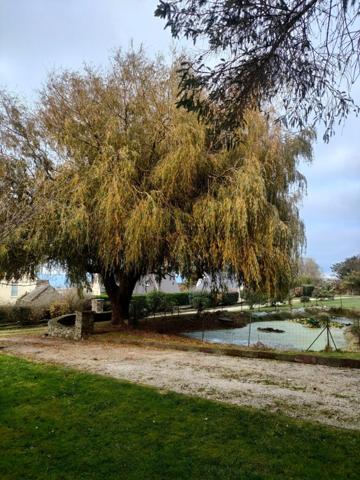Jolie maison située dans un havre de paix accompagnée d'un joli terrain et le tout orienté face à la mer.