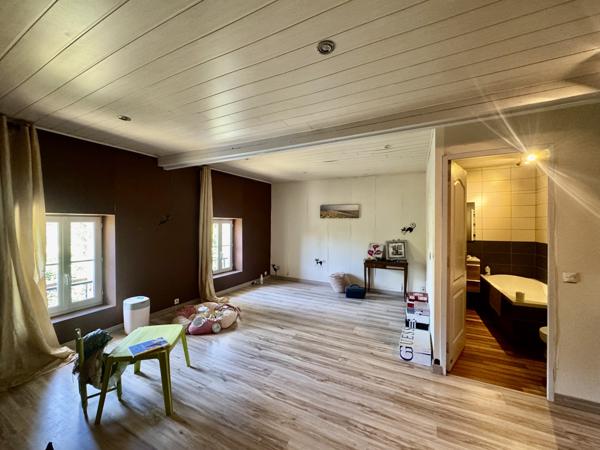 Saint-Paul (33390) Ancienne maison de maître de 290m² avec 200m² de dépendance sur 1,3 Ha de terrain