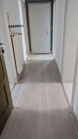 Location Appartement 3 pièces Sainte-Marie-aux-Mines (68160) - 56 m2