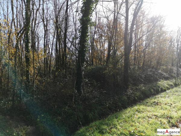 Maison à TIESTE-URAGNOUX, 32160 - 10 pièces 278m²