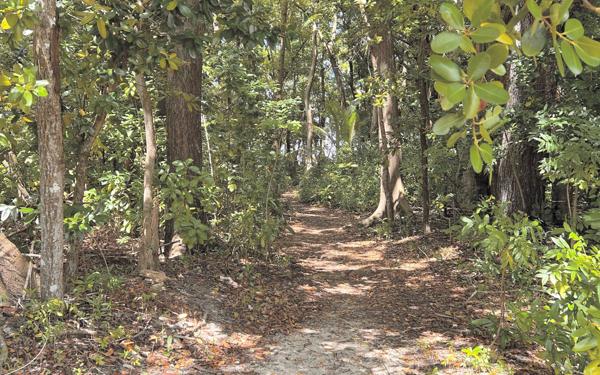 Appartement à vendre    2 pièces • 26 m2 Grand-Bourg