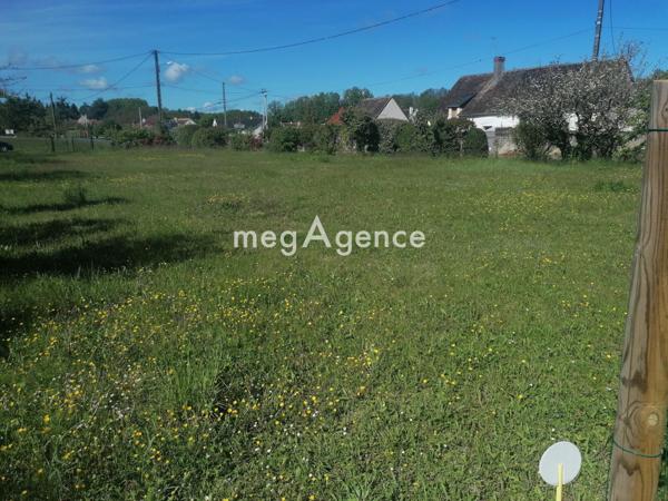Terrain à HUISSEAU-SUR-COSSON, 41350 - 1202m²