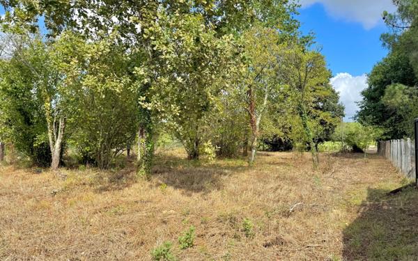 Maison à vendre    1 pièce •  Listrac-Médoc