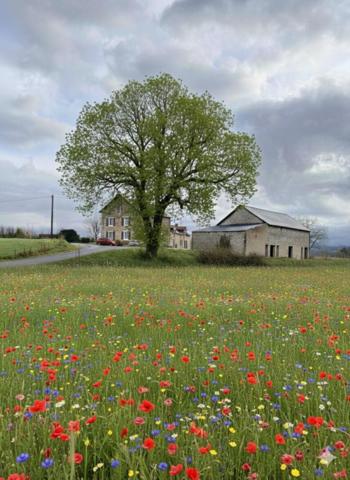 Trés joli corps de ferme et 1, 1 hectares de terrain